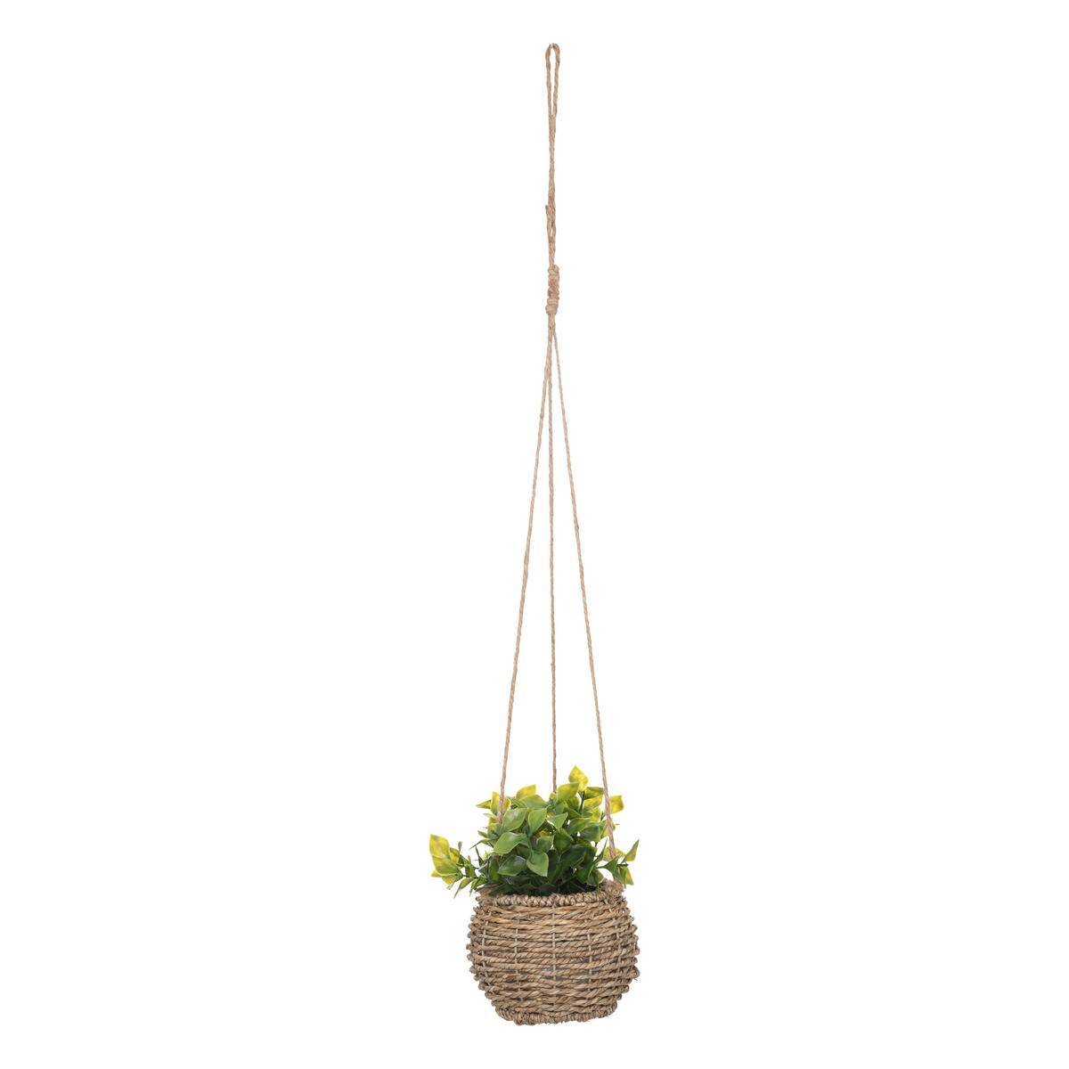 Atmosphera - Plante Zoe à suspendre H17cm - Atmosphera Créateur d'intérieur - Imagen 2