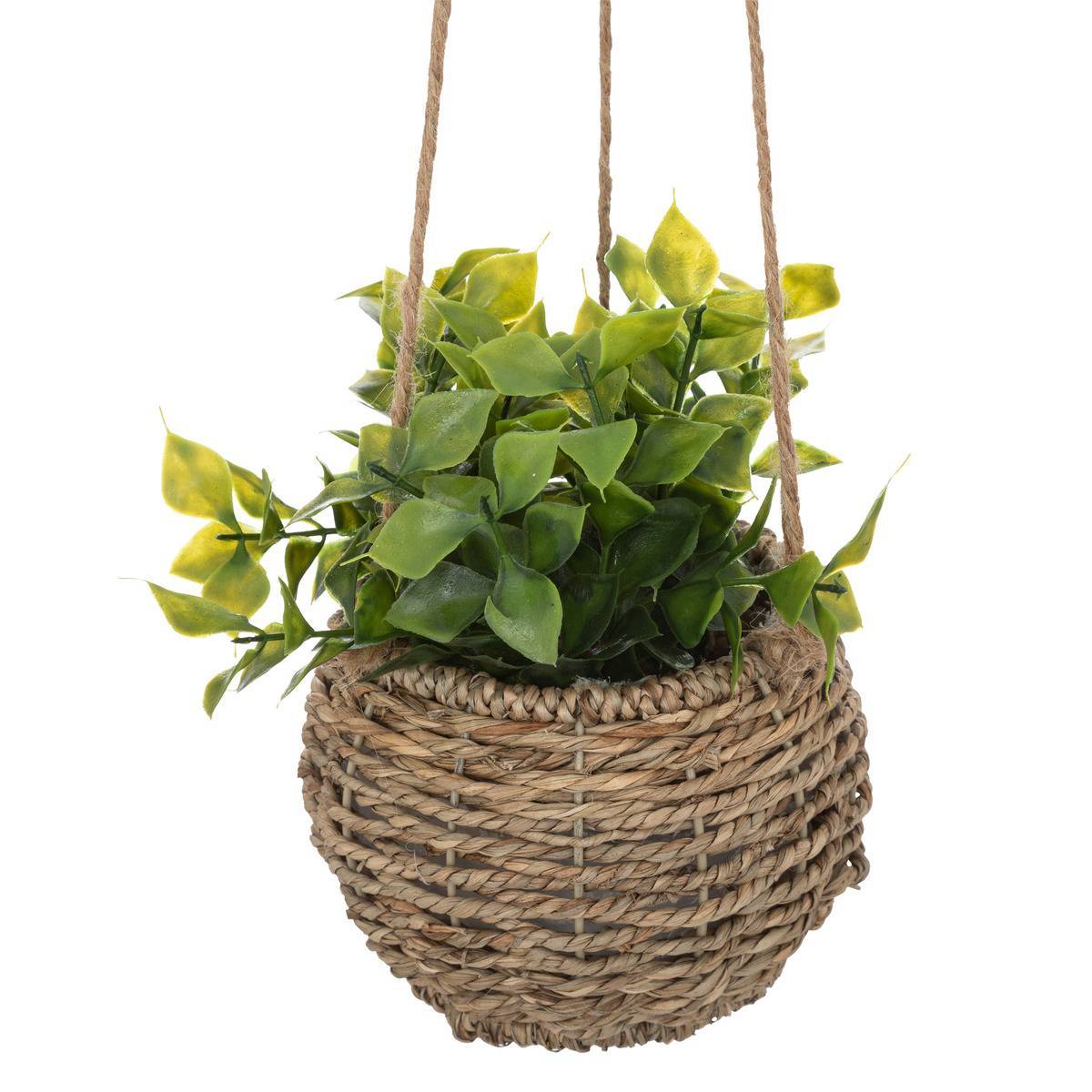 Atmosphera - Plante Zoe à suspendre H17cm - Atmosphera Créateur d'intérieur - Imagen 3