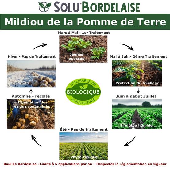 Solu'Bordelaise - 1 kg de Bouillie Bordelaise - Mildiou de la pomme de terre- Utilisable Agriculture Biologique - Sachet Refermable - Image 2