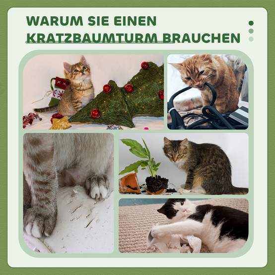 Arbre à chat bois laine pour grands chats poteaux extra larges 91cm vert - ComfortXL Outdoor Living - Image 9