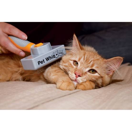 VENTEO FUR DADDY | Brosse Ramasse Poils Animaux et Peigne- VENTEO - Image 7