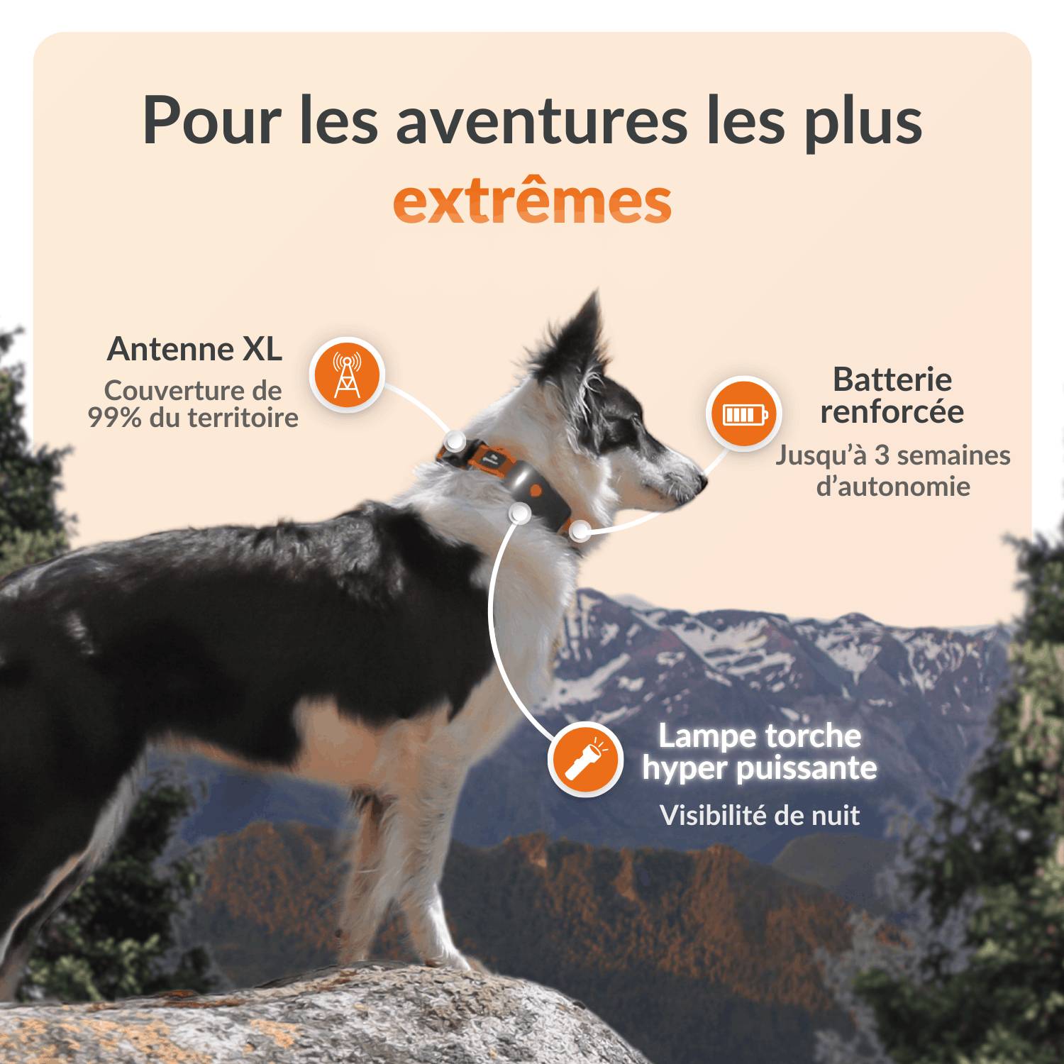 Weenect - Weenect XT - Traceur GPS pour chien - Image 2