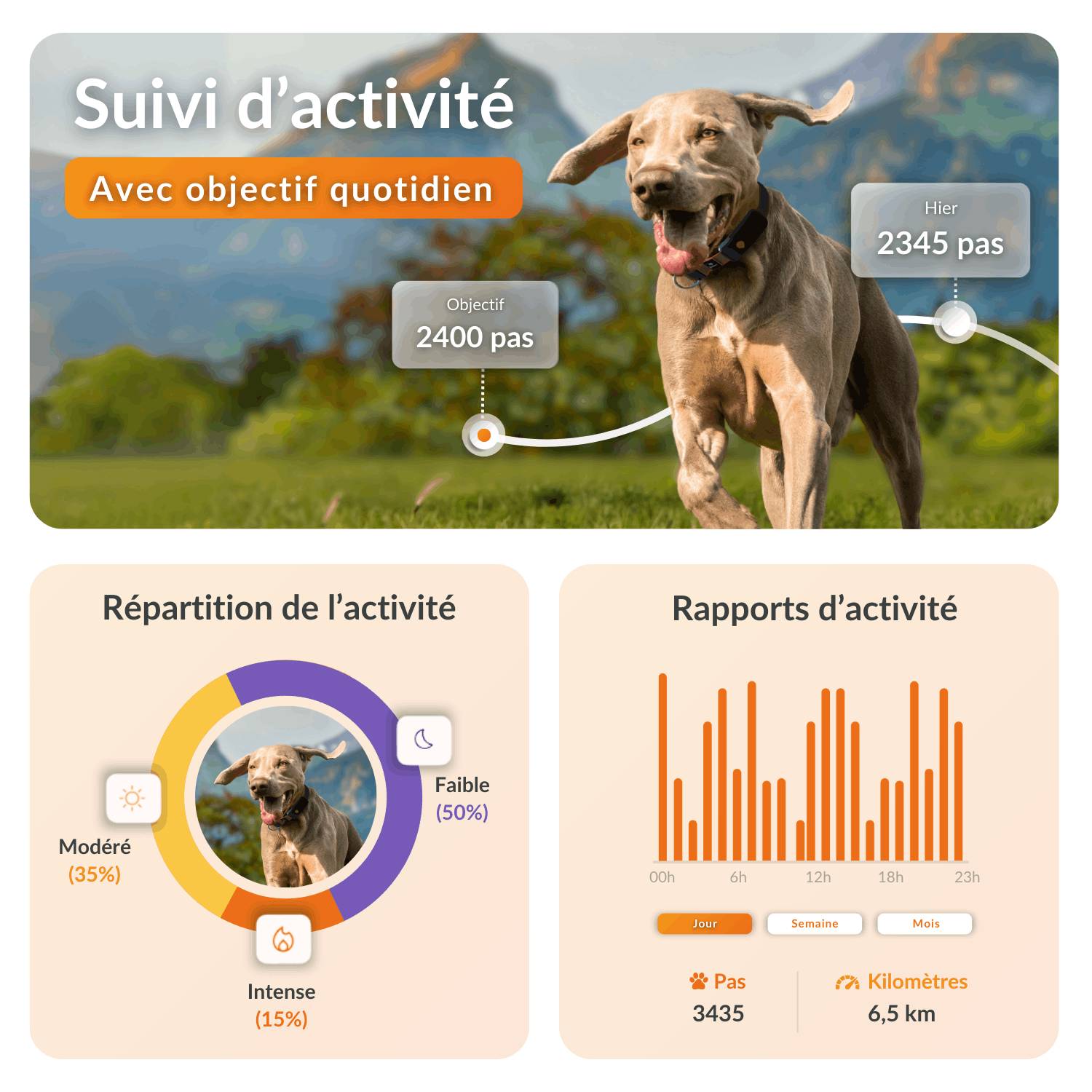 Weenect - Weenect XT - Traceur GPS pour chien - Image 4