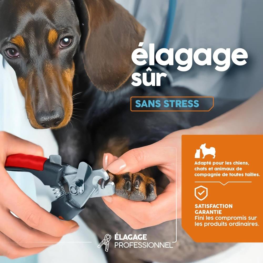 IntiMeg - Coupe-ongles pour chien rouge - IntiMeg - Image 2