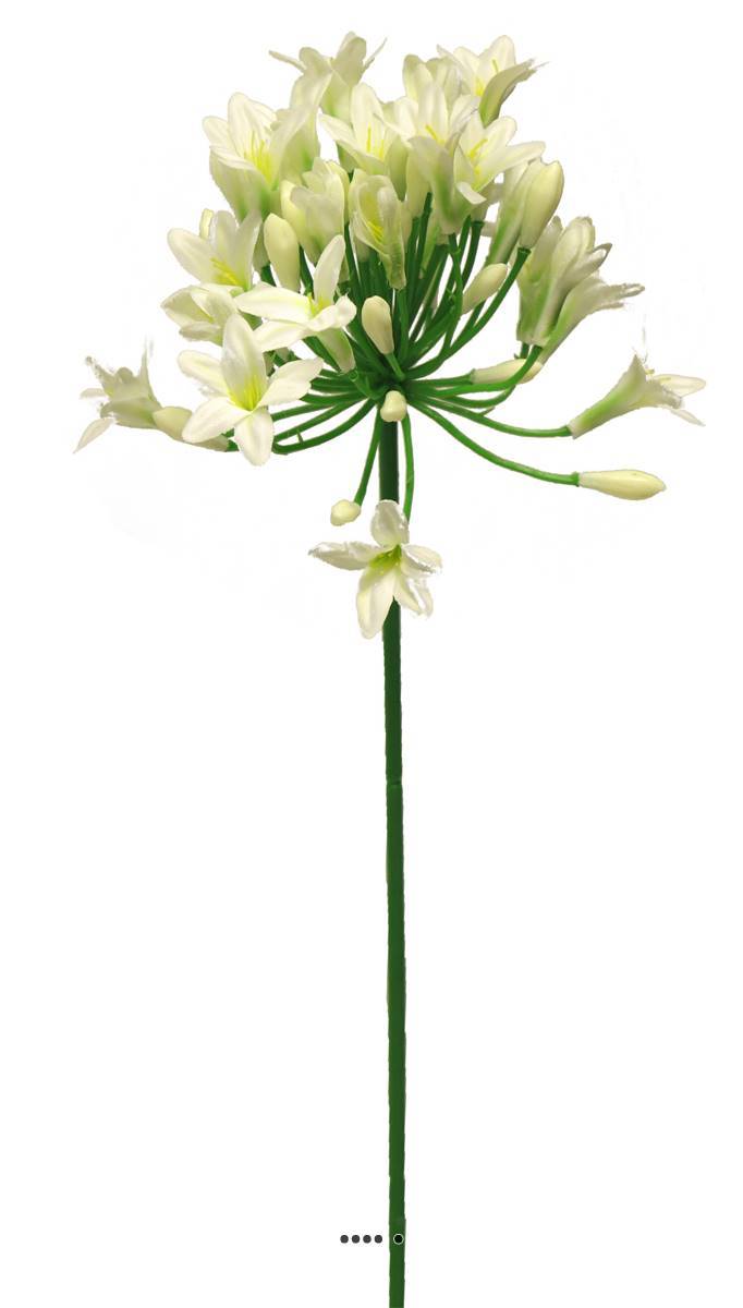 Artificielles - Agapanthe artificielle en tige H75cm, grande tête D14cm Crème - BEST - couleur: Crème - Imagen 2