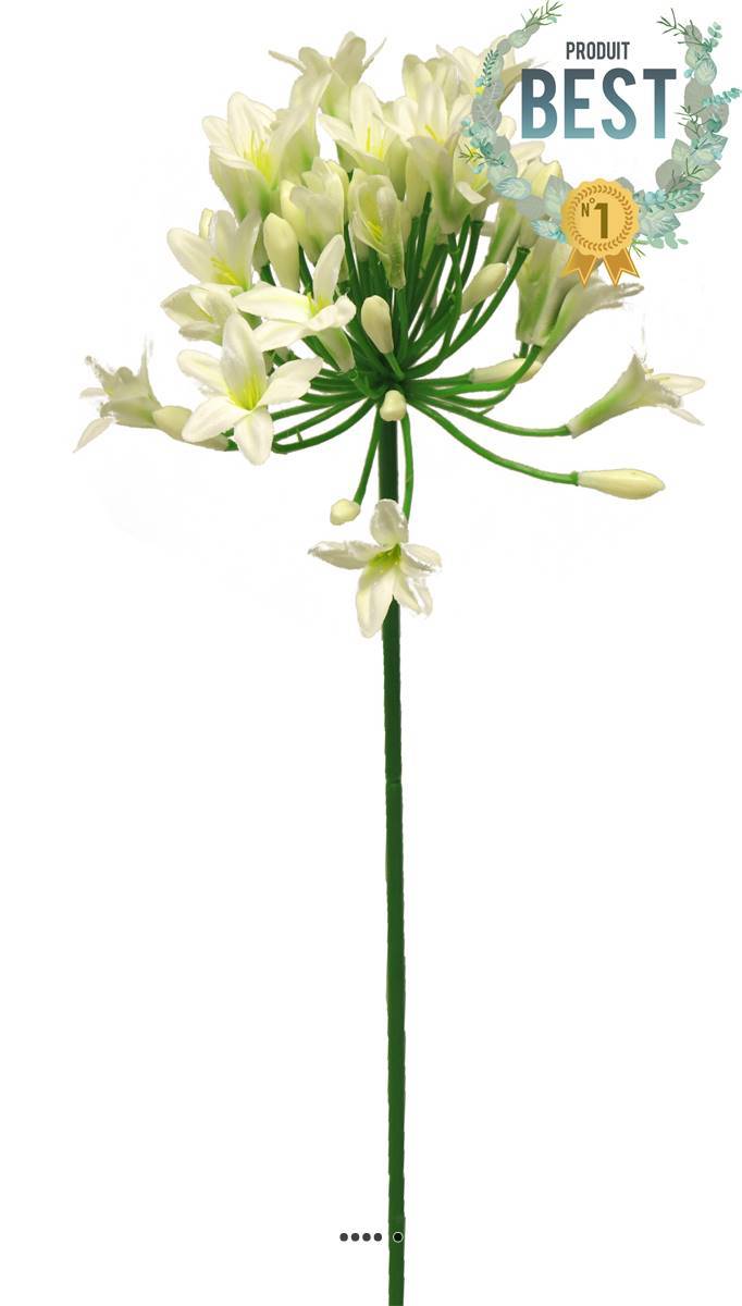 Artificielles - Agapanthe artificielle en tige H75cm, grande tête D14cm Crème - BEST - couleur: Crème - Imagen 1