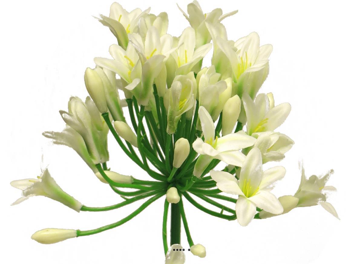 Artificielles - Agapanthe artificielle en tige H75cm, grande tête D14cm Crème - BEST - couleur: Crème - Imagen 4