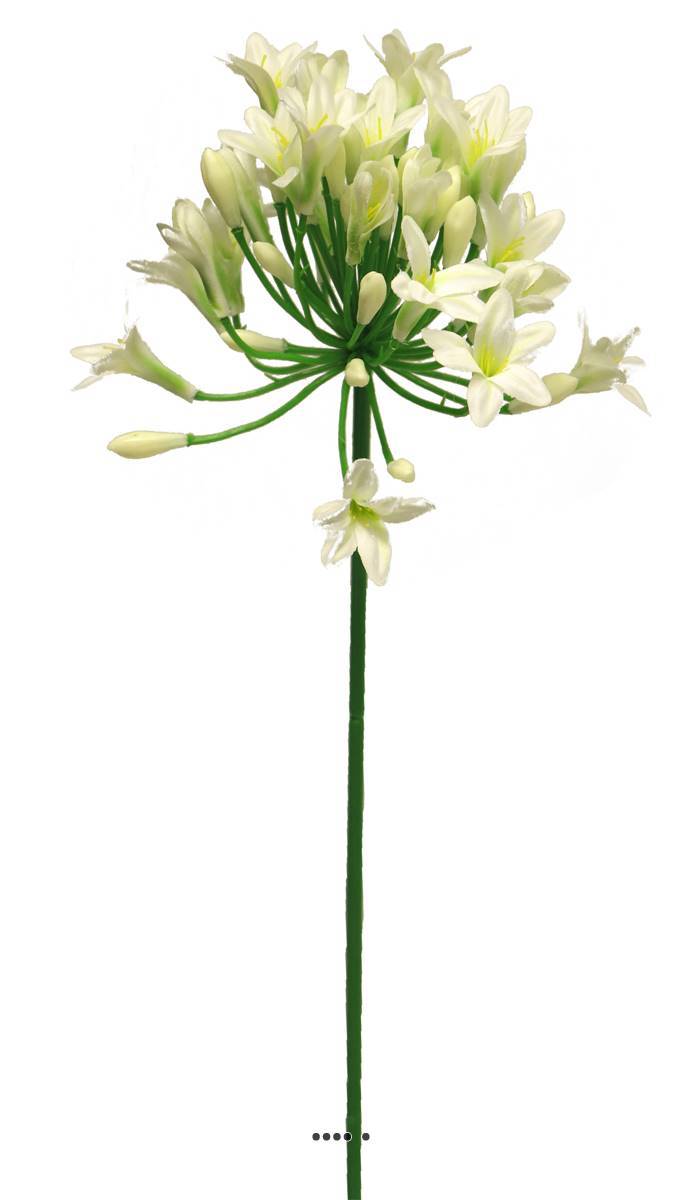 Artificielles - Agapanthe artificielle en tige H75cm, grande tête D14cm Crème - BEST - couleur: Crème - Imagen 3
