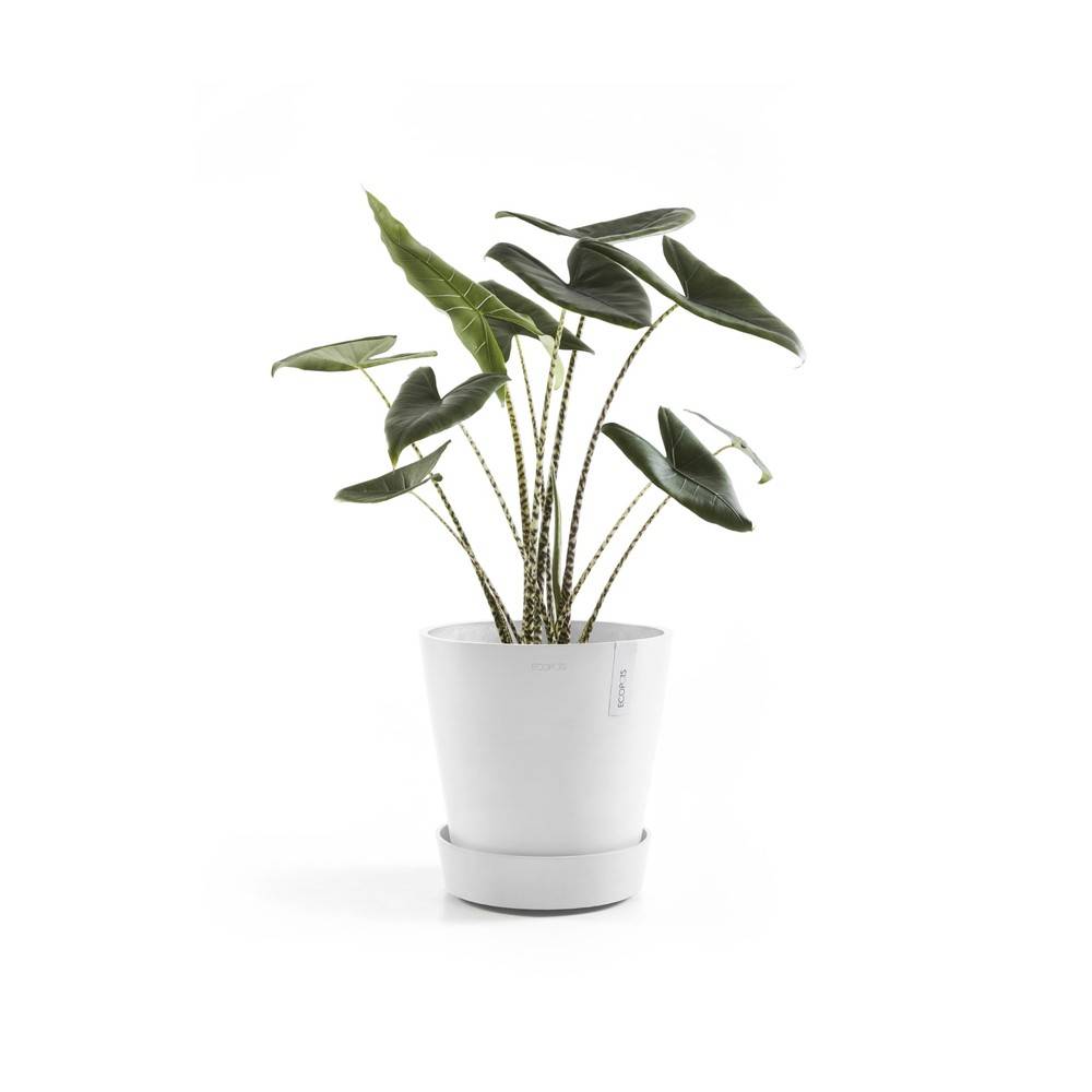 Ecopots - Soucoupe à roulette 60 Pure White ECOPOTS - Imagen 3