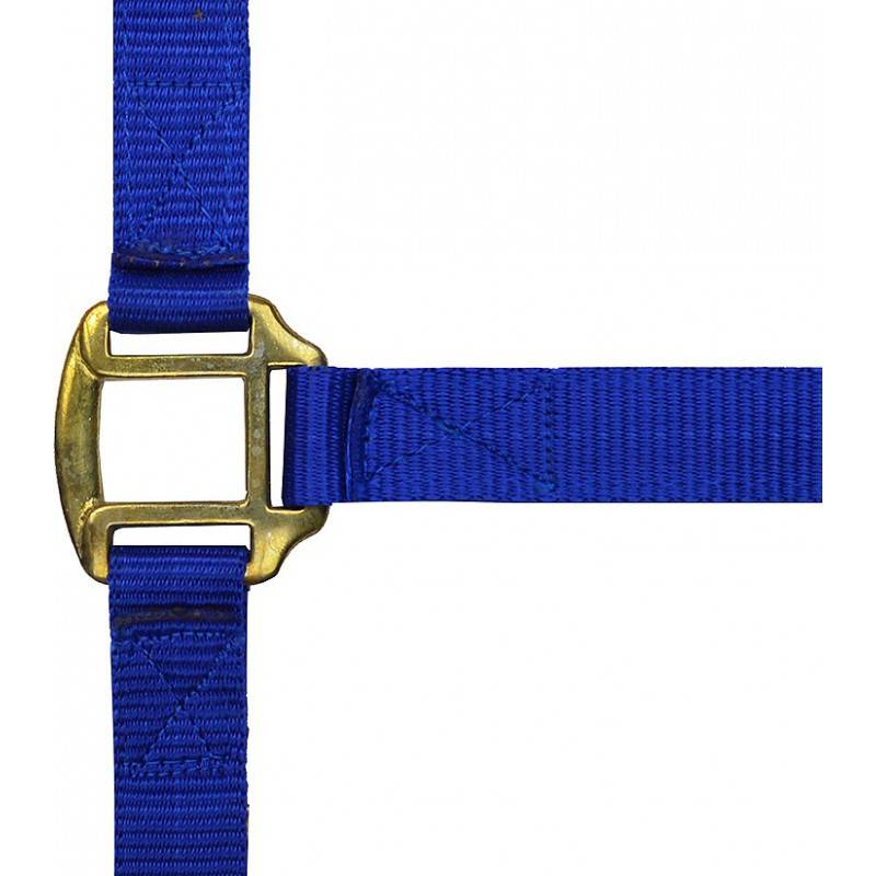 Norton - Licol nylon marine doublé cuir pour cheval - Imagen 1