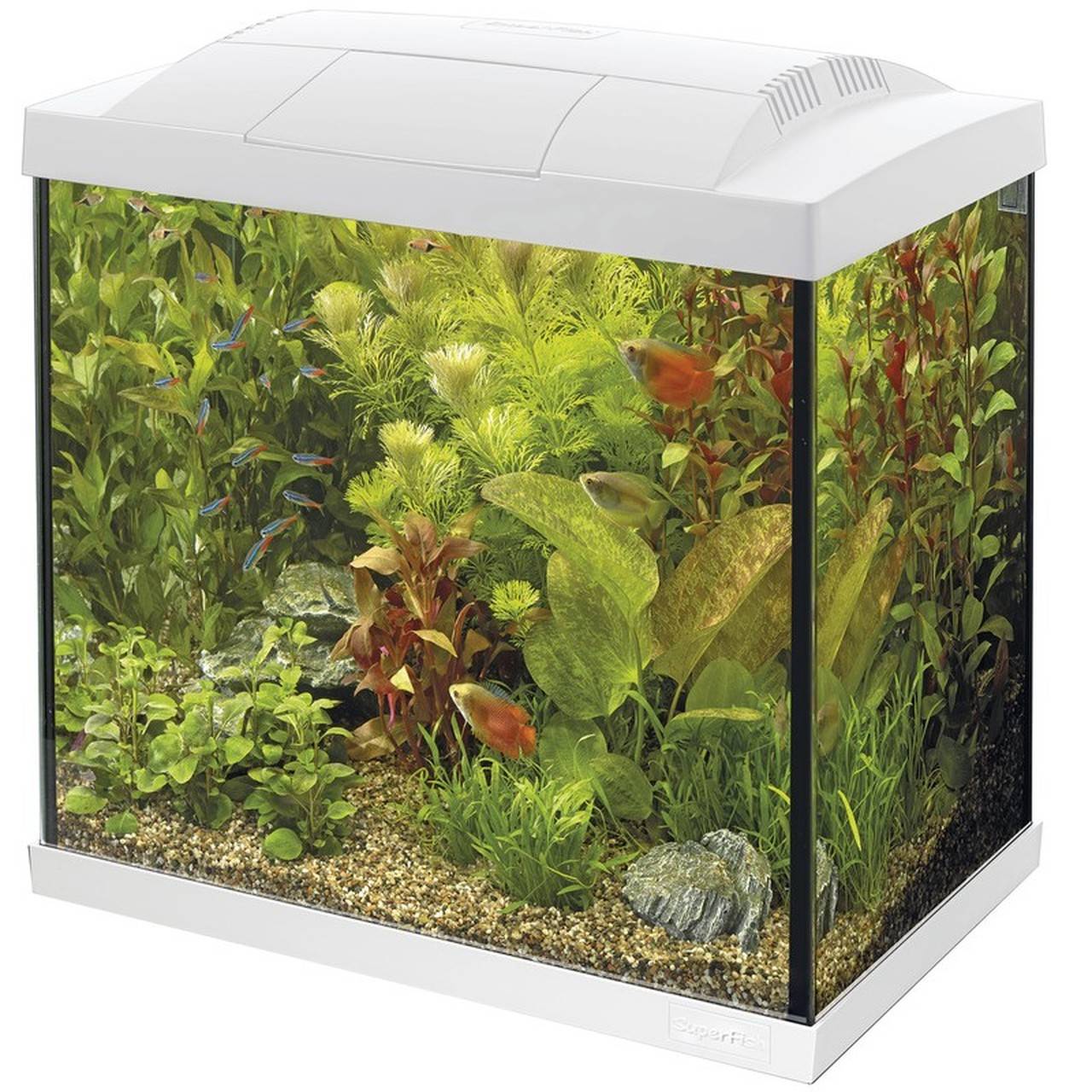 Superfish - Aquarium tropical kit blanc 44,4 x 27 x 37,6 cm - SUPERFISH