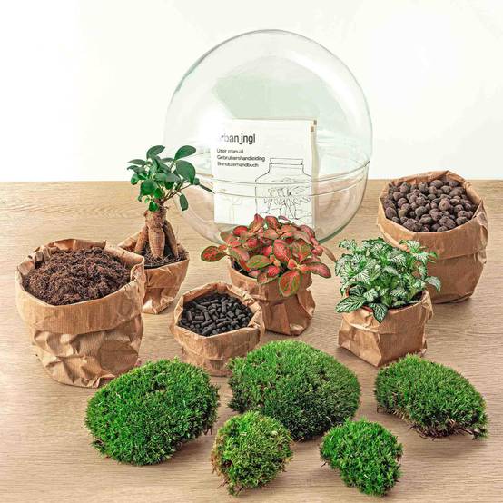 Diy Terrarium - D30 H30cm - Image 4
