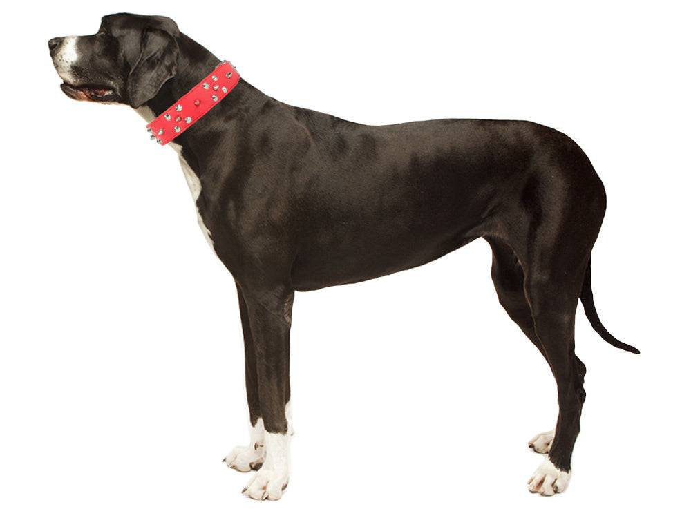 Collier chien clouté cuir eco réglable xl rouge - Image 9