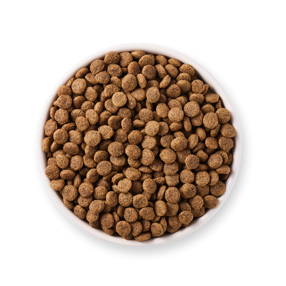 Yarrah - Croquettes Biologiques Sans Blé Poulet & Poisson pour Chat Stérilisé - Imagen 4