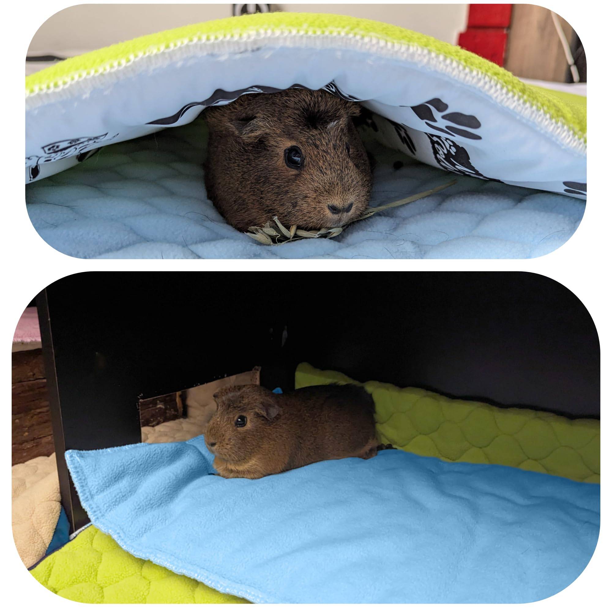 Lot de 2 - Tapis pour Cochon d'inde et Lapin en Polaire 140 x 70 cm  - Polaire Absorbant, Lavable en Machine, Economique - Neo Solvo - Image 3