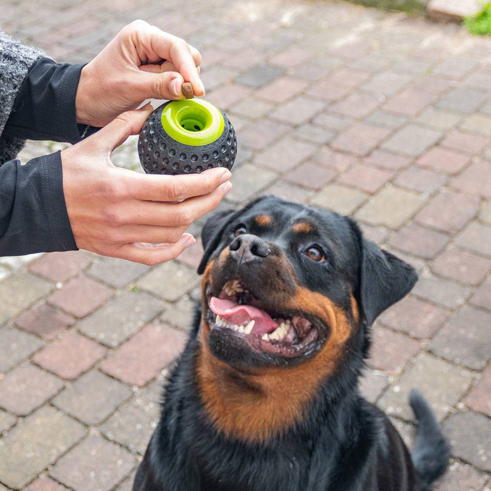 Ferplast - Ferplast Jouet Chien, Distributeur croquettes, en Matériau Durable, Non Toxique, Résistante aux Morsures, Rebondissant et Flottant, CHEWA BOING Balle - Imagen 5
