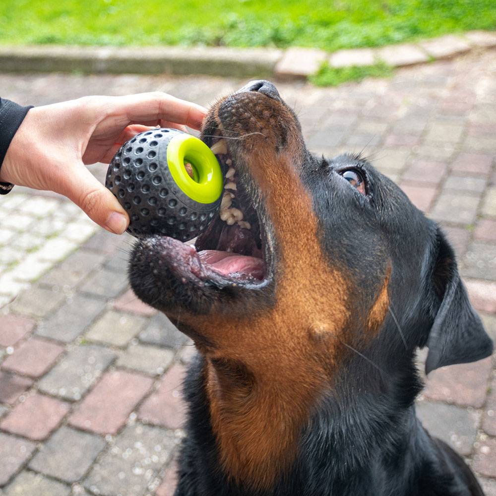 Ferplast - Ferplast Jouet Chien, Distributeur croquettes, en Matériau Durable, Non Toxique, Résistante aux Morsures, Rebondissant et Flottant, CHEWA BOING Balle - Imagen 6