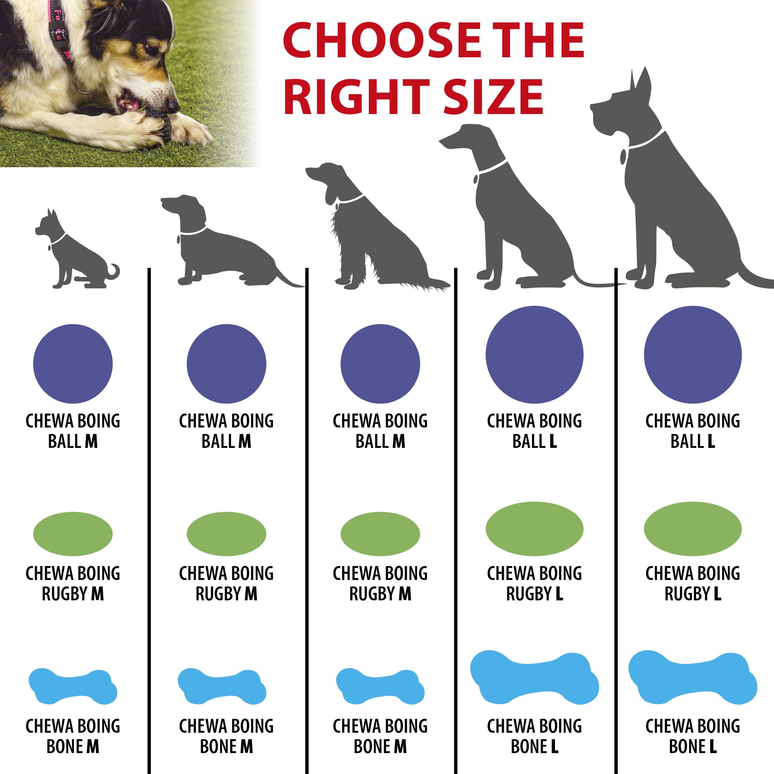 Ferplast - Ferplast Jouet Chien, Distributeur croquettes, en Matériau Durable, Non Toxique, Résistante aux Morsures, Rebondissant et Flottant, CHEWA BOING Balle - Imagen 2