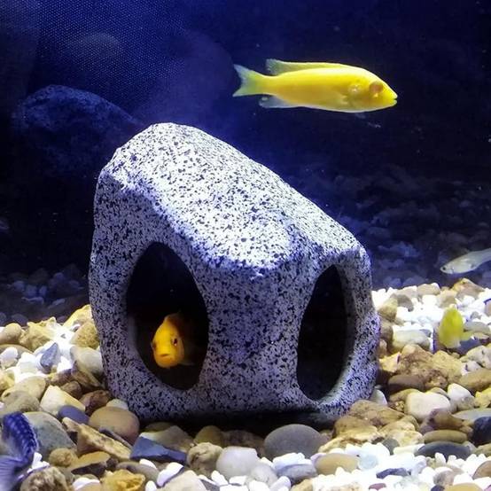 IntiMeg - Pierre de paysage pour aquarium IntiMeg - Image 3