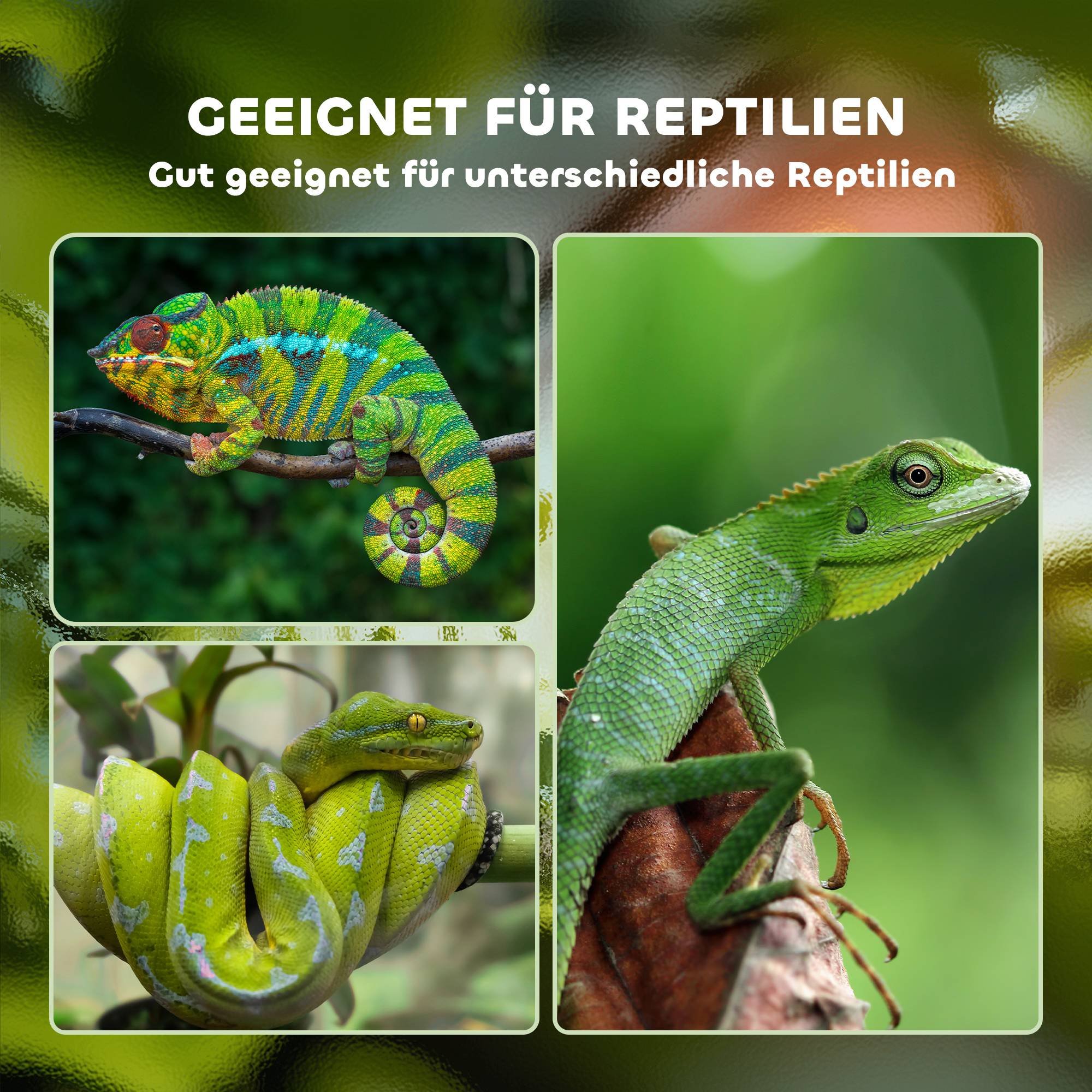 Terrarium pour reptiles, terrarium en acrylique avec mangeoire, 120 x 40 x 40 cm, pour amphibiens, insectes, escargots, araignées sauteuses - Image 9
