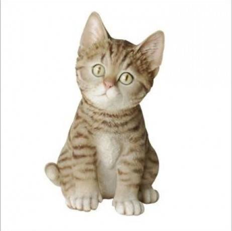 Riviera - Chat assis gris