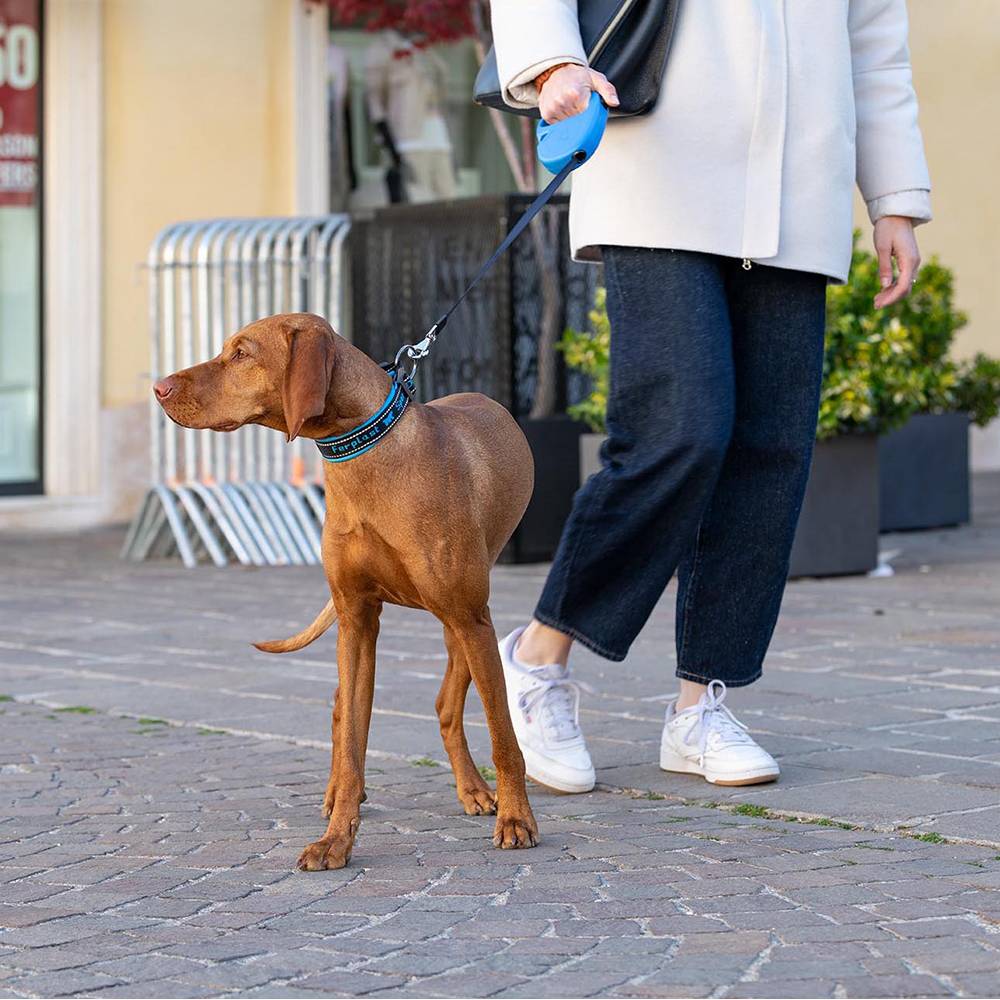 Ferplast - Ferplast Laisse Chien Enrouleur FLIPPY ONE, Laisse pour Chiens de Taille Moyenne jusqu'à 25 Kg. Sangle Extensible max 5 m. Bouton unique pour - Imagen 4