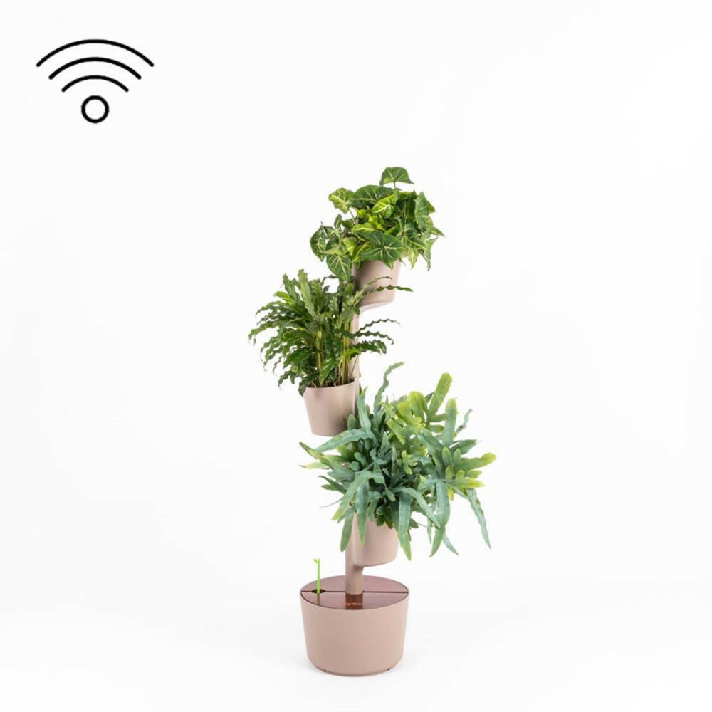 Jardinière verticale CitySens couleur écorce et bois Teka avec 3 pots et arrosage automatique Wi-Fi - Image 1