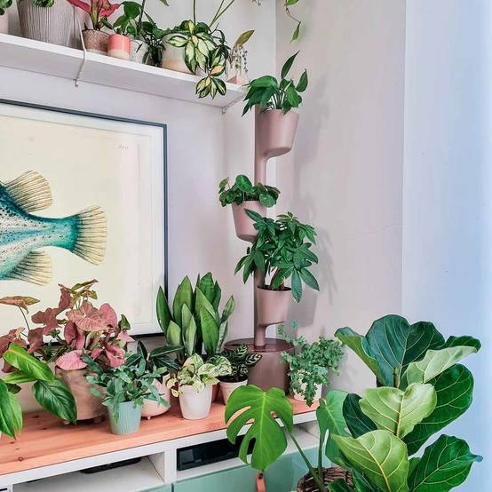 Jardinière verticale CitySens couleur écorce et bois Teka avec 3 pots et arrosage automatique Wi-Fi - Image 4