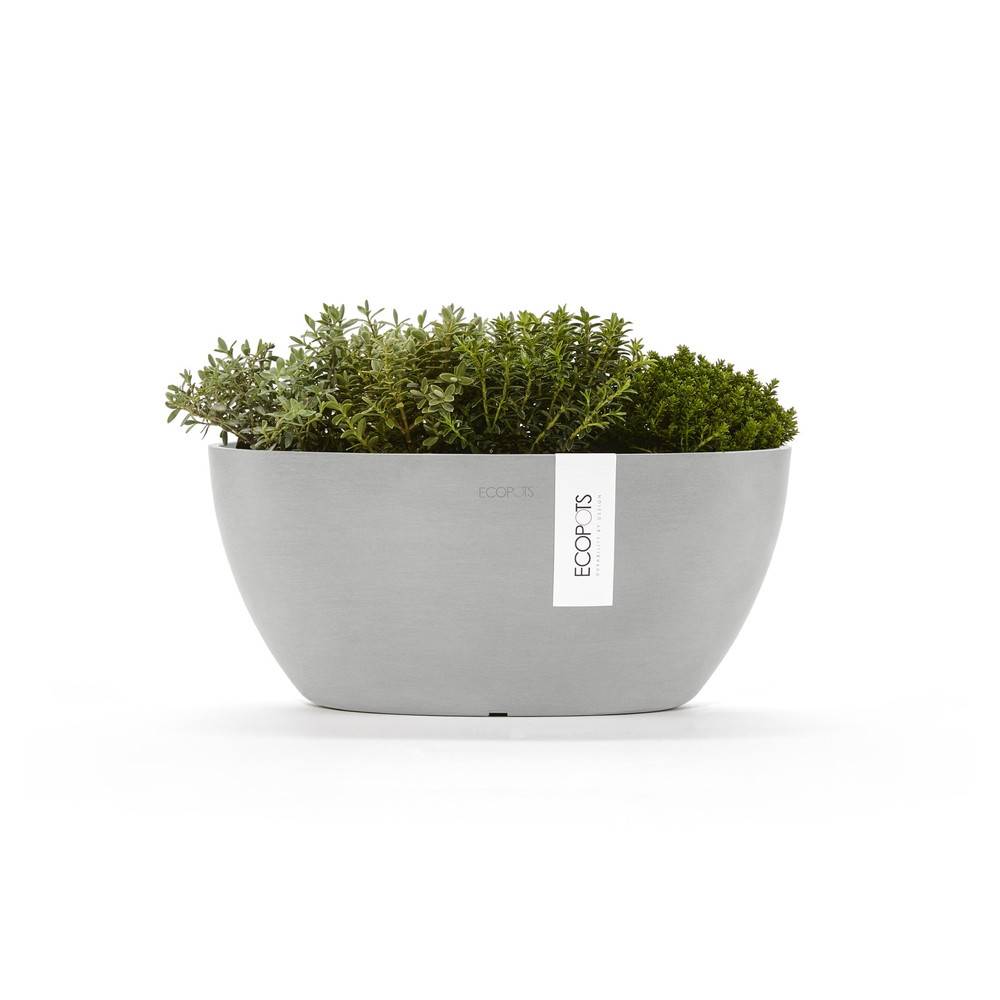 Ecopots - Pot Ovale Sofia 30 Blanc Gris + réservoir d'eau - 30 x 13 x H. 13,5 cm - 2,7 L ECOPOTS - Imagen 2