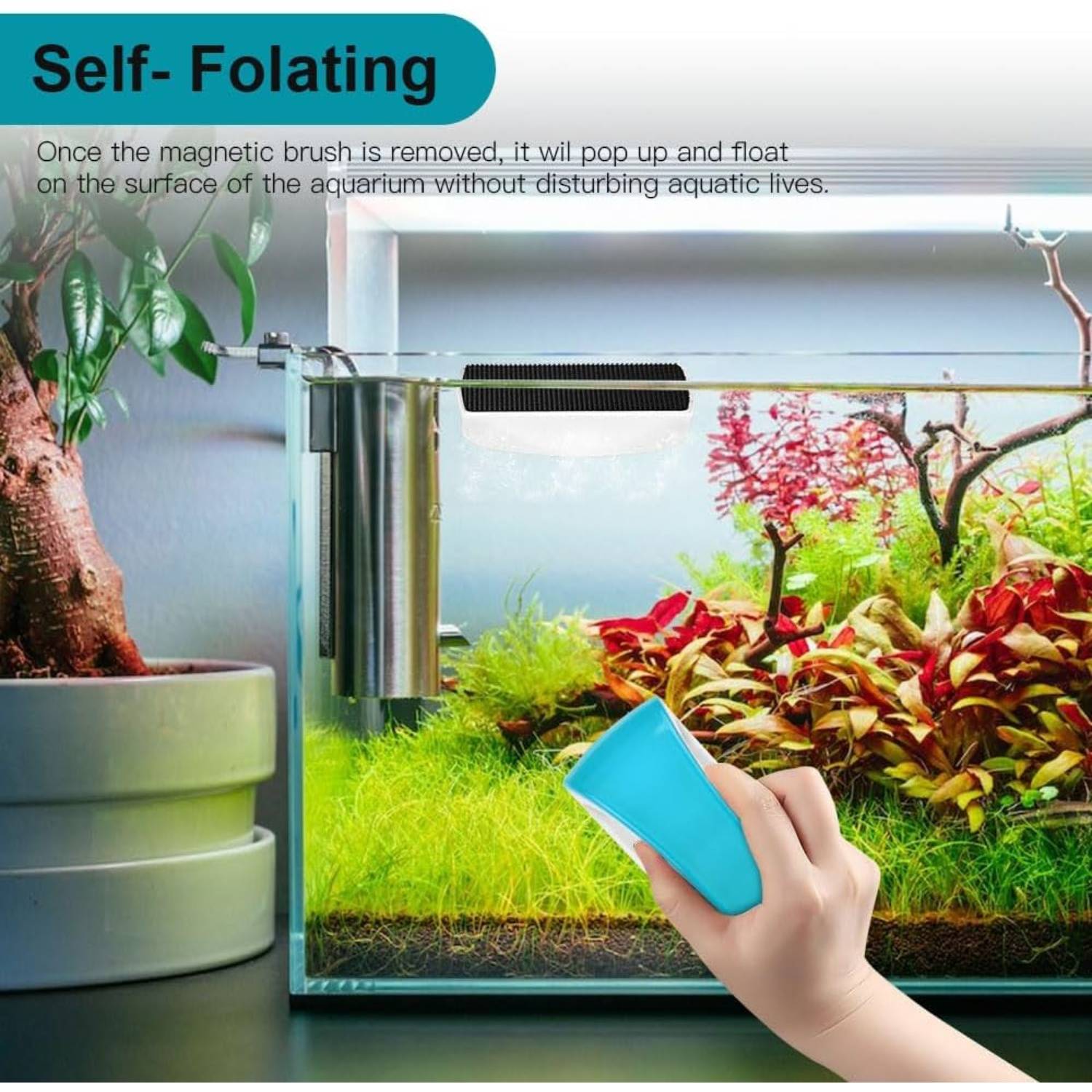 Brosse magnétique nettoyage - Aquarium et verre DtopbuyAge - Image 4