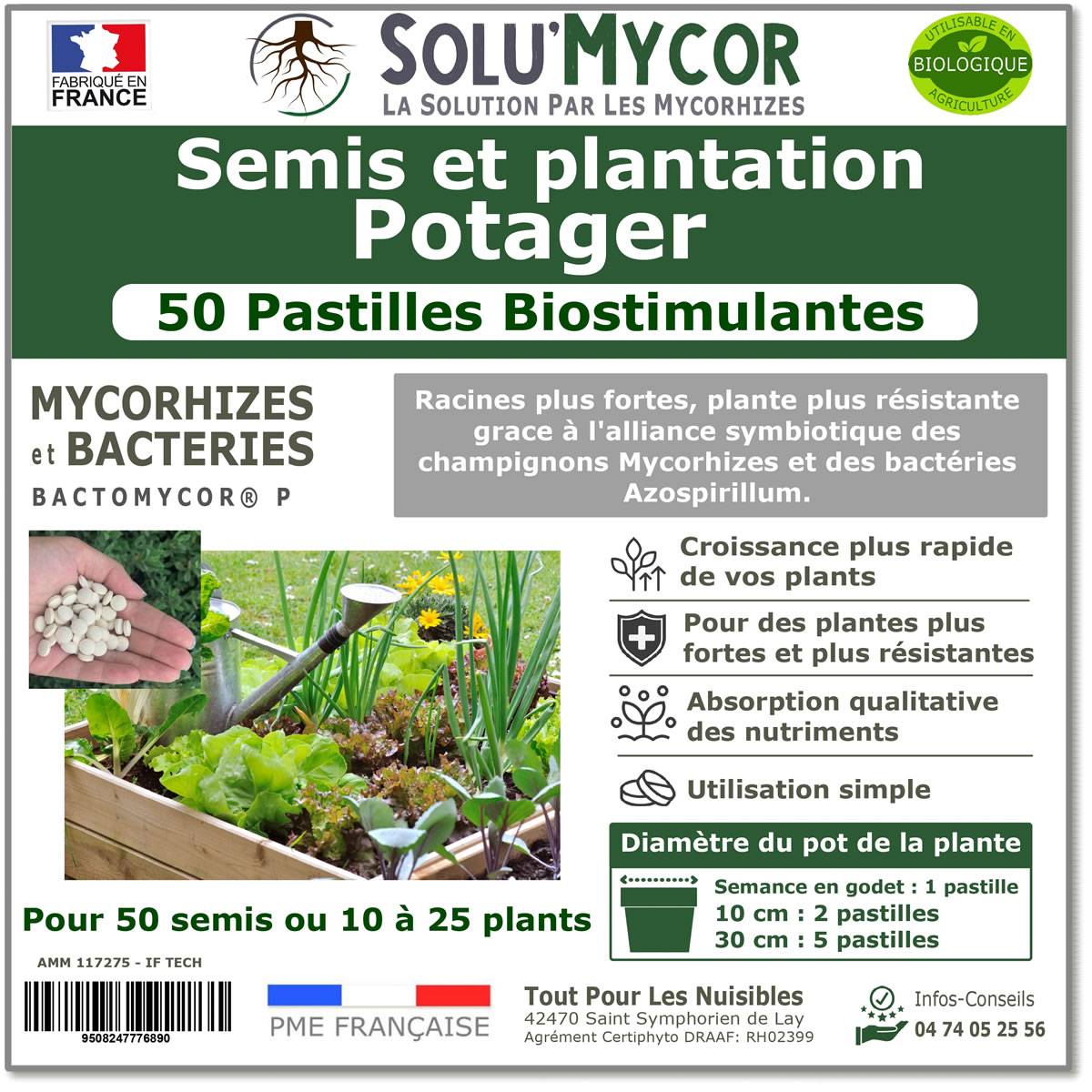 SoluMycor – 50 Pastilles Biostimulantes Potager – Pour Semis & Plantation – Mycorhizes & Bactéries Azospirillum – Favorise le Développement Racinaire
