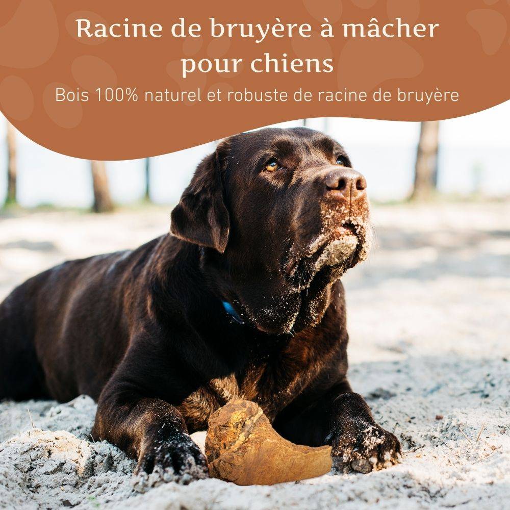 Wildfang - Wildfang - Mâcher des racines de bruyère arborescente - 3 x XXL - Image 3