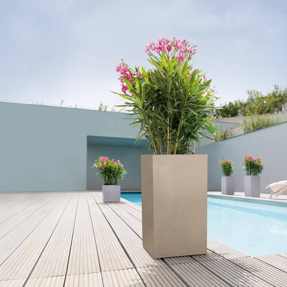 Lechuza - Pot Canto Color 56, gris pierre 3 L 56 cm Lechuza - Imagen 5
