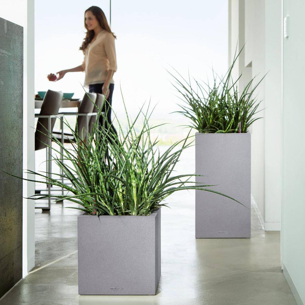 Lechuza - Pot Canto Color 56, gris pierre 3 L  56 cm Lechuza - Imagen 6
