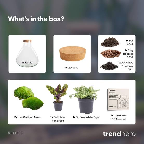 Diy Terrarium - D22 H27cm - Image 3