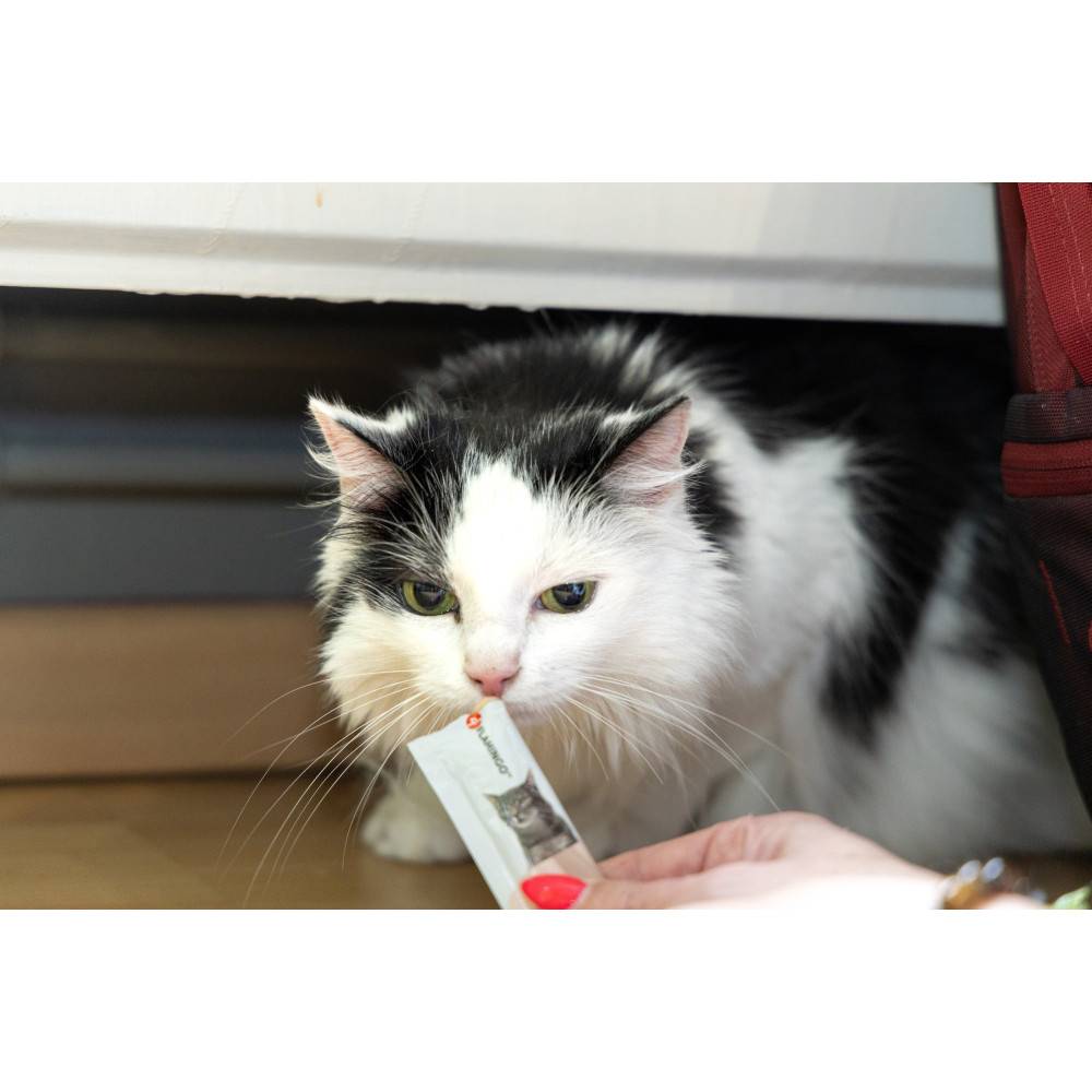 Friandises 5 sticks de 14 g, gout poulet pour chat - Imagen 3