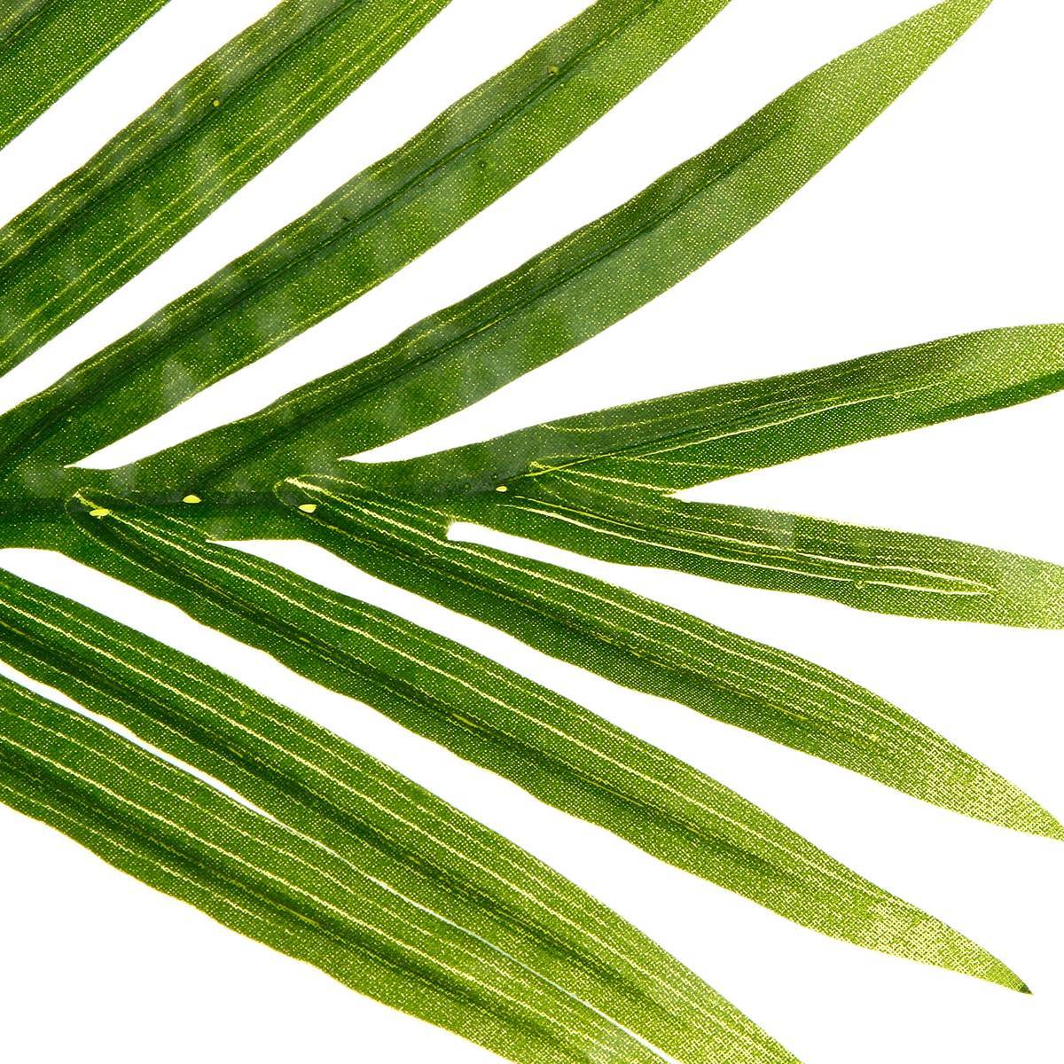 Atmosphera - Palmier artificiel H170cm - Atmosphera Créateur d'intérieur - Image 2