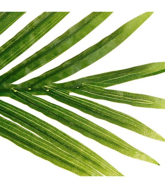 Plante artificielle Palmier en pot H 170 cm - Image 2