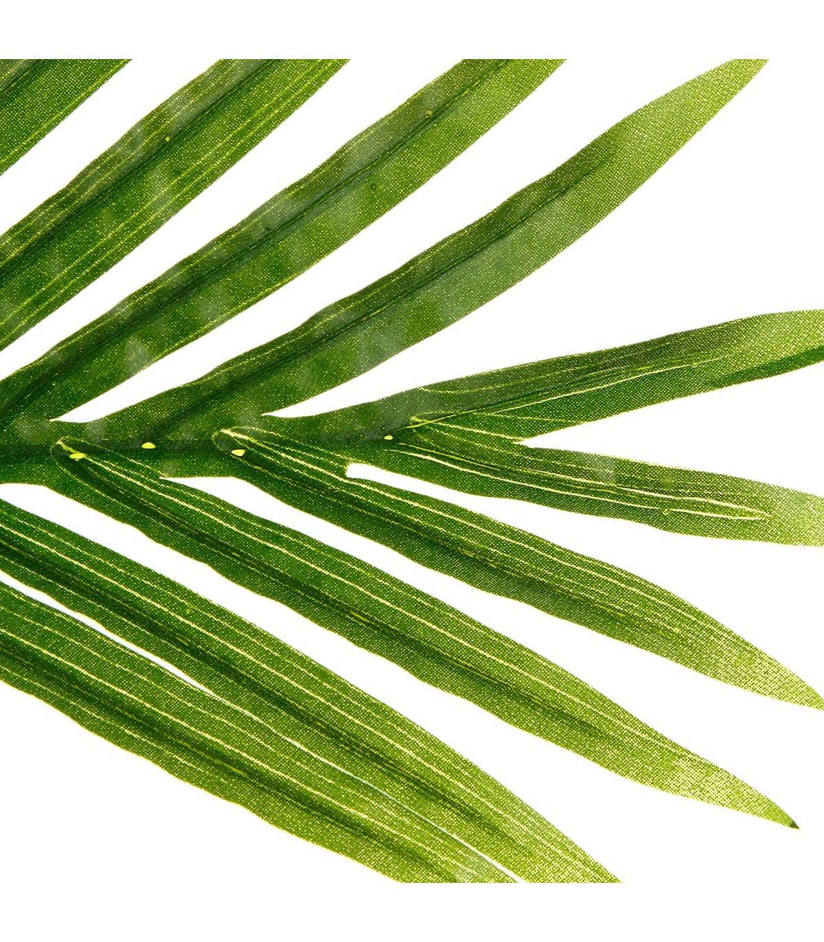 Plante artificielle Palmier en pot H 170 cm - Image 2