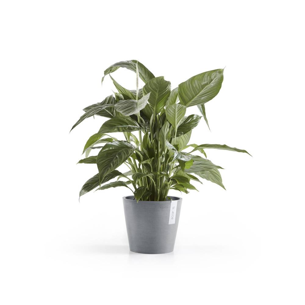 Ecopots - Pot Rond Amsterdam 20 Bleu Gris - Ø 20 x H. 17,5 cm - 4 L ECOPOTS - Imagen 1