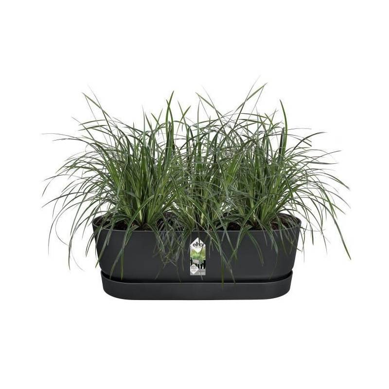 Elho - Elho - Pot De Fleurs  -  Greenville Easy Balcony 52 - Living Noir - Balcon - L 21.2 X W 52 X H 19.4 Cm - Imagen 3