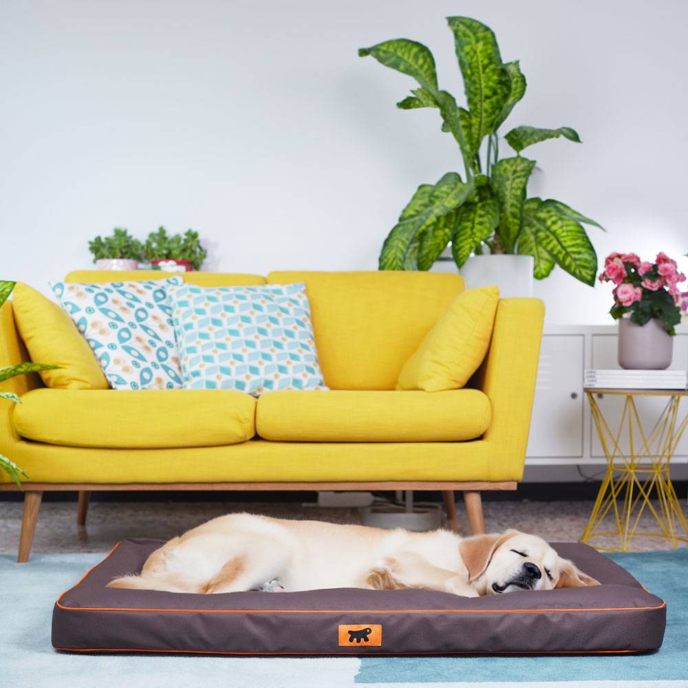 Ferplast - FERPLAST Panier Chien Chat - Coussin Orthopédique Chien - Lavable en Machine - Tapis Chien - Lit Chat Chien - Imperméable & Anti-Rayures - Rembourrage - Imagen 3