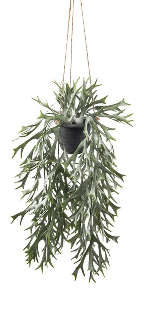 Artificielles - Fougère Platycerium artificielle en pot suspendu, L 35 cm, D 24 cm - Imagen 2