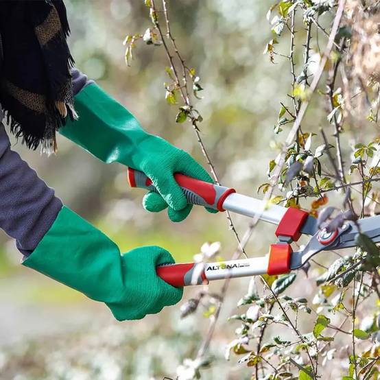 Blackfox - Gants de Jardin Roncier - Protection Anti-Épineux Black Fox - Image 3