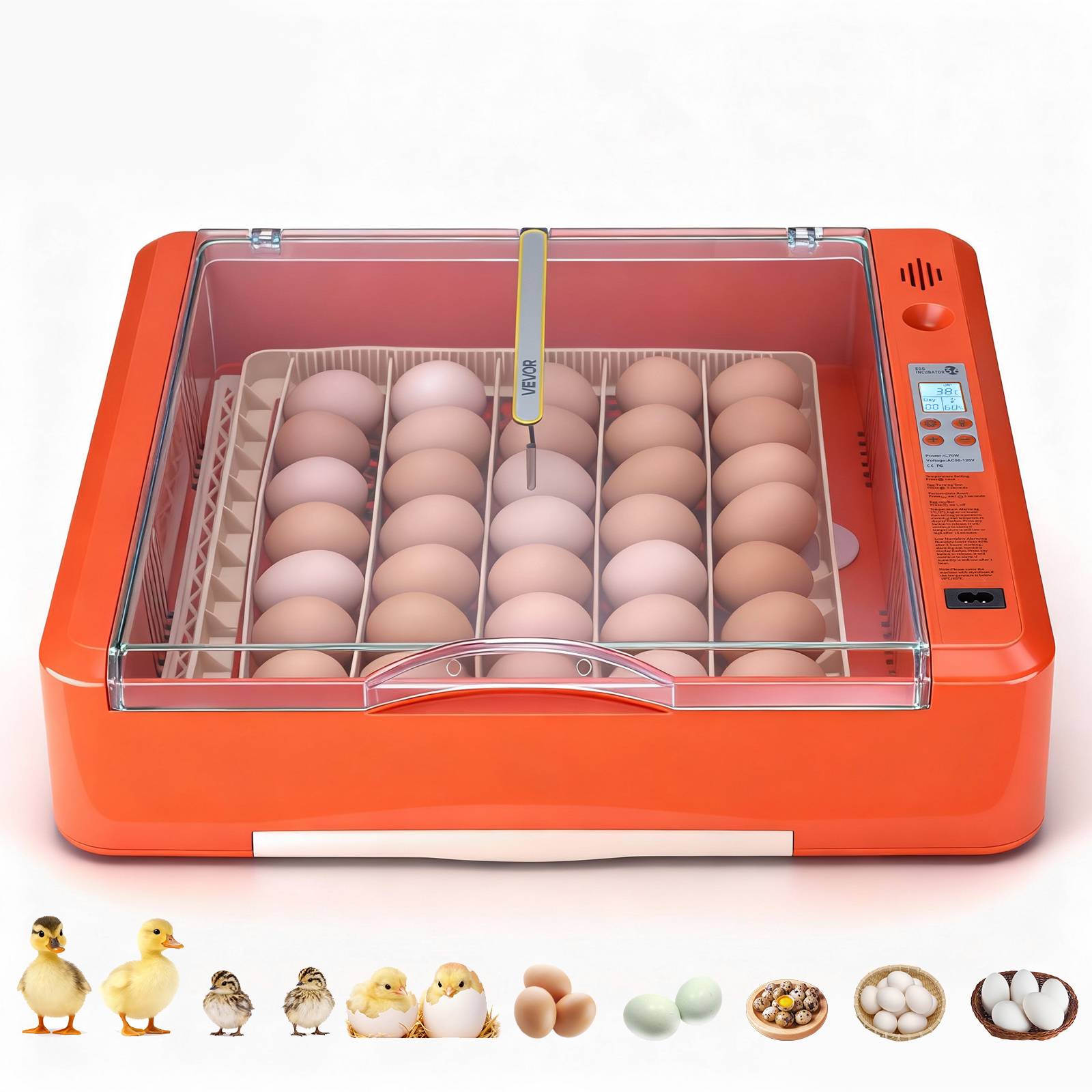 Vevor - VEVOR Couveuse Œuf Automatique Incubateur 36 Œufs pour Éclosion Œufs Poussins