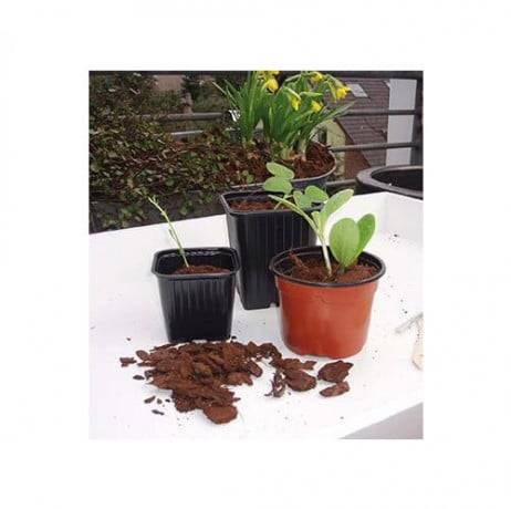 Grands pots horticoles carrés pour semis - Image 2