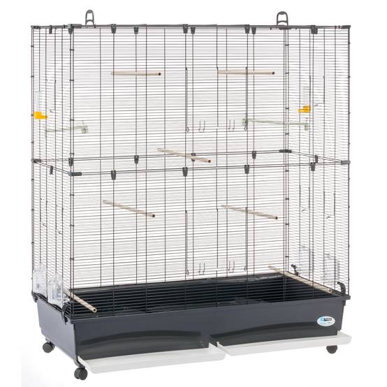 Ferplast - Ferplast Volière Cage à Oiseaux PLANETA LARGE Grande Cage pour Canaris, Pinsons, Perruches Ondulées, Inséparables, Métal, Accessoires inclus - Image 3