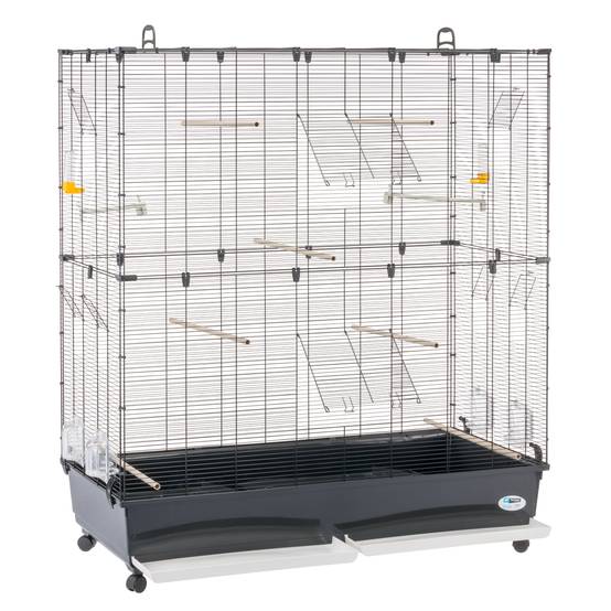Ferplast - Ferplast Volière Cage à Oiseaux PLANETA LARGE Grande Cage pour Canaris, Pinsons, Perruches Ondulées, Inséparables, Métal, Accessoires inclus - Image 7