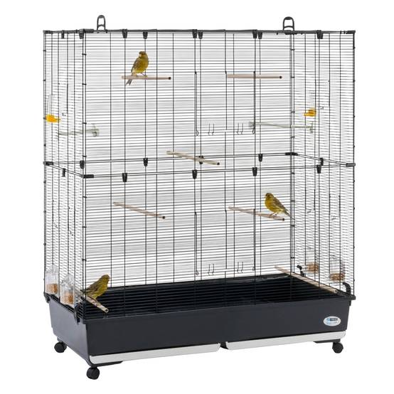 Ferplast - Ferplast Volière Cage à Oiseaux PLANETA LARGE Grande Cage pour Canaris, Pinsons, Perruches Ondulées, Inséparables, Métal, Accessoires inclus - Image 4