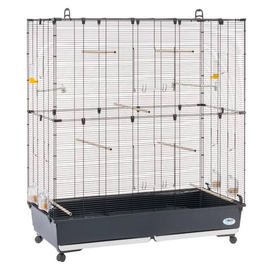 Ferplast - Ferplast Volière Cage à Oiseaux PLANETA LARGE Grande Cage pour Canaris, Pinsons, Perruches Ondulées, Inséparables, Métal, Accessoires inclus - Image 9